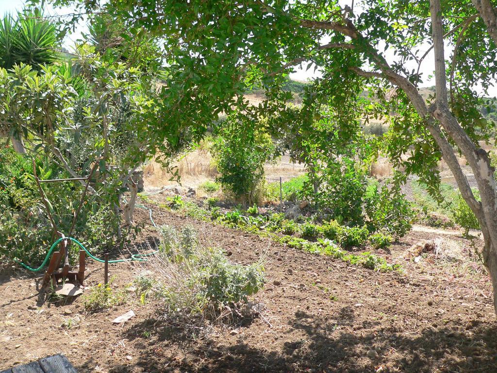 Agriturismo Sa Tanca Noa Tergu ภายนอก รูปภาพ