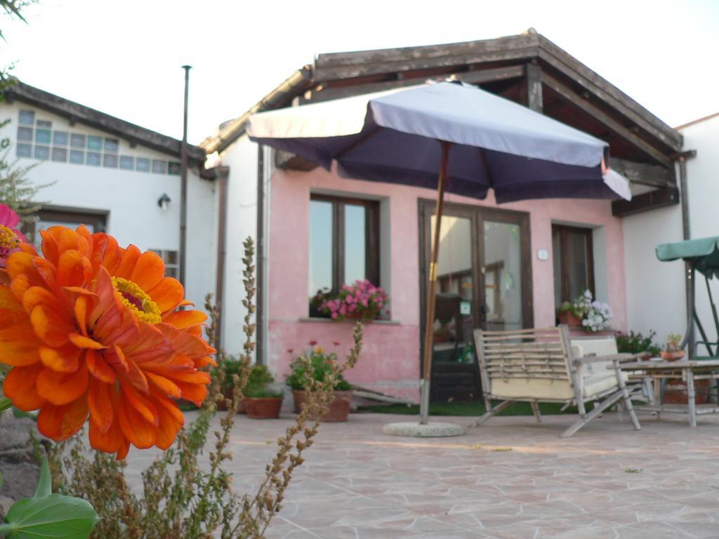 Agriturismo Sa Tanca Noa Tergu ภายนอก รูปภาพ