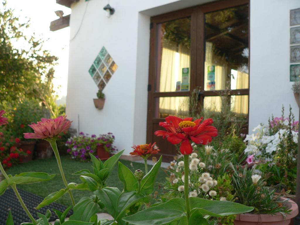 Agriturismo Sa Tanca Noa Tergu ภายนอก รูปภาพ