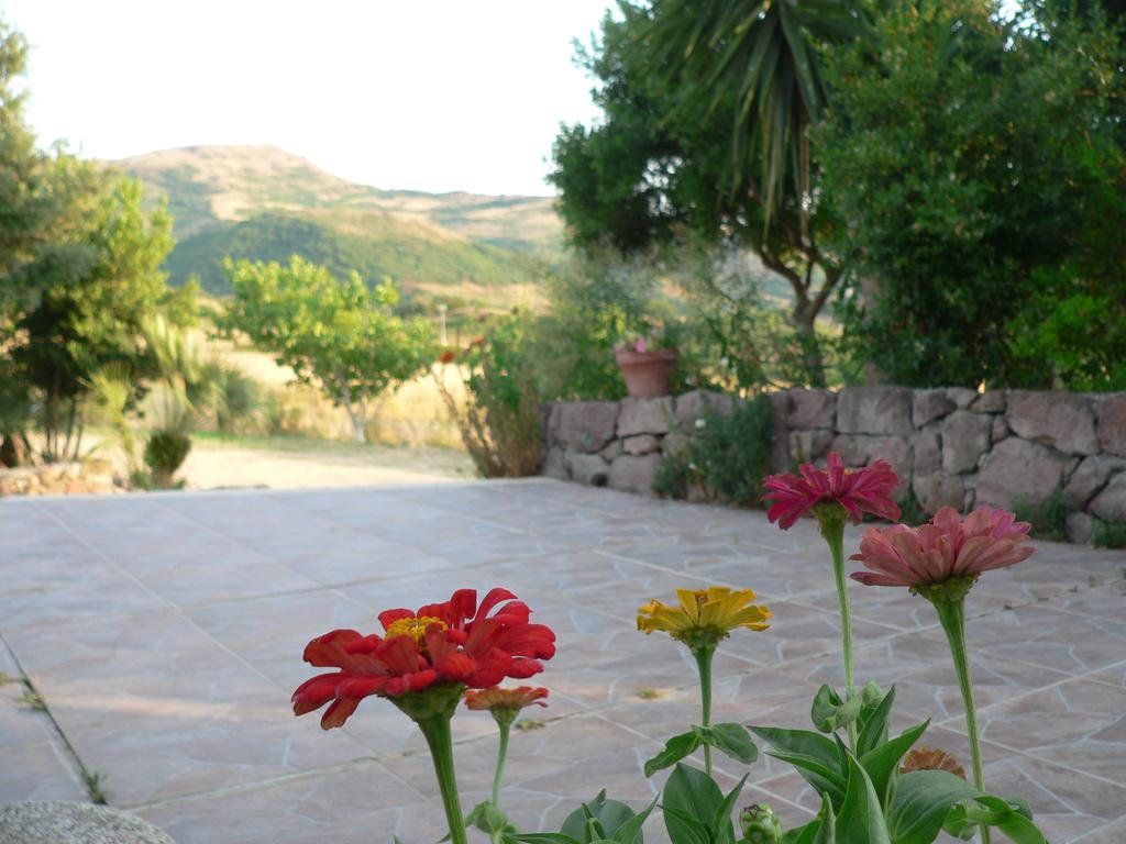 Agriturismo Sa Tanca Noa Tergu ภายนอก รูปภาพ