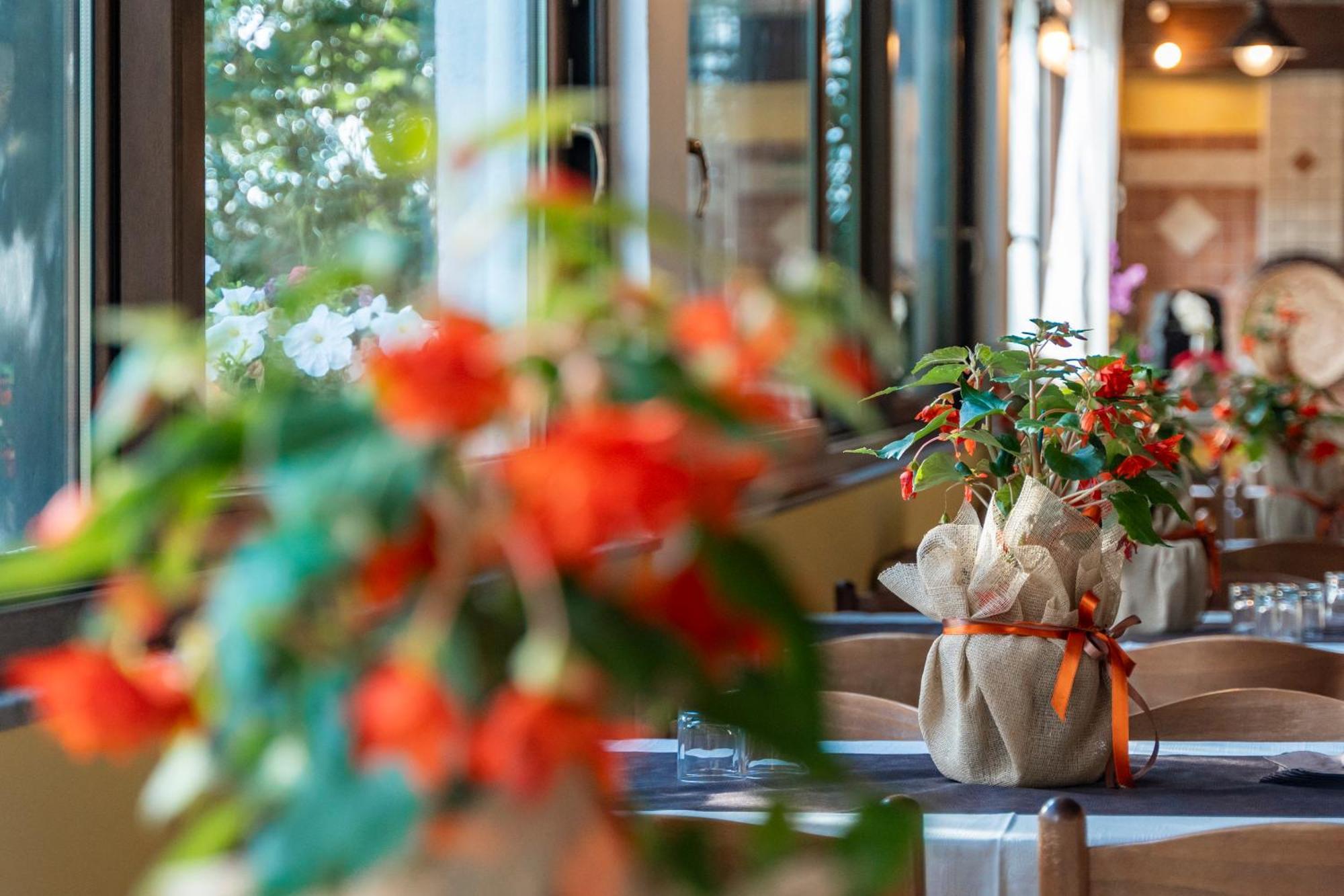 Agriturismo Sa Tanca Noa Tergu ภายนอก รูปภาพ