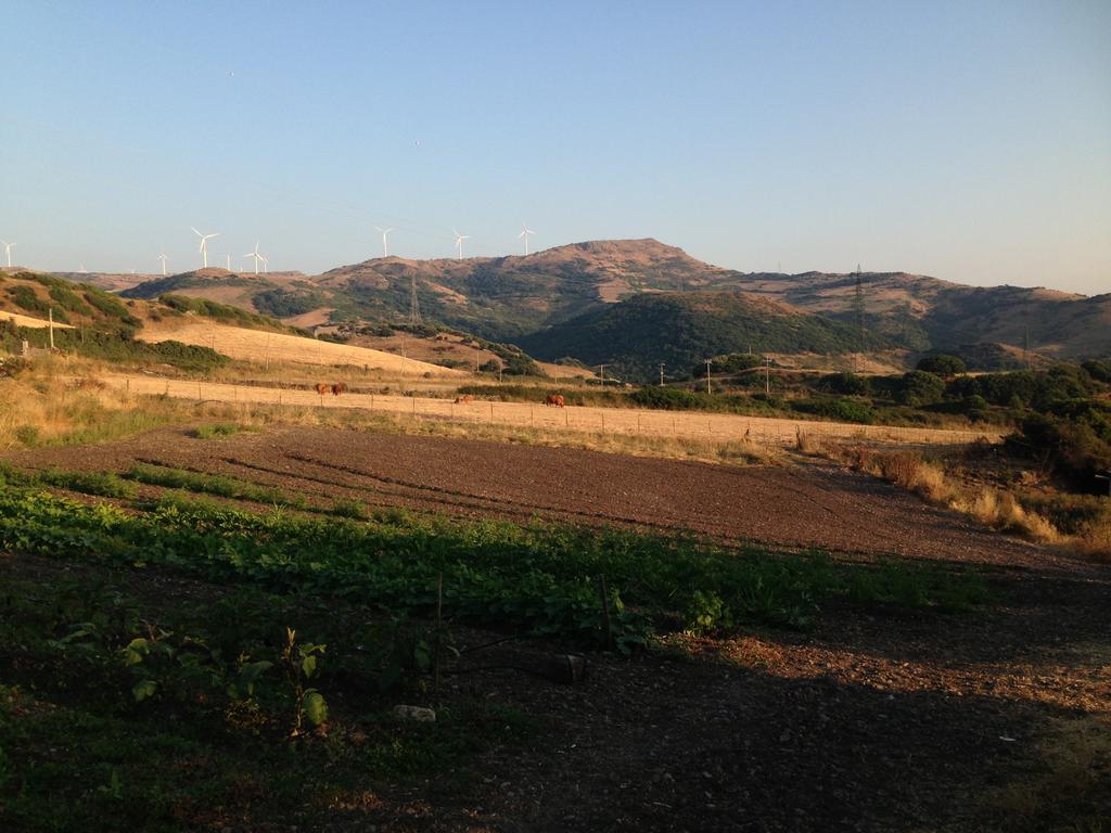 Agriturismo Sa Tanca Noa Tergu ภายนอก รูปภาพ