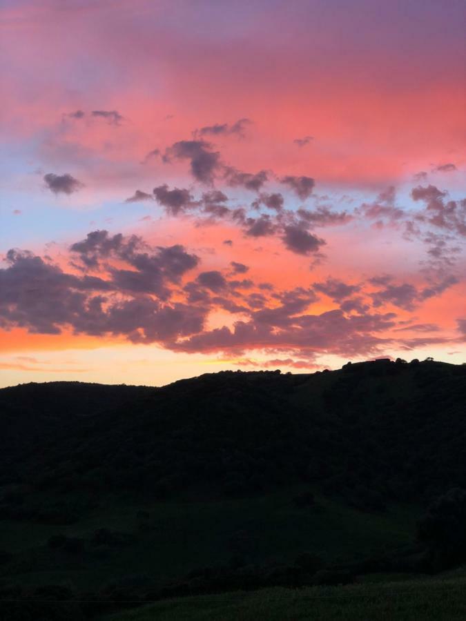 Agriturismo Sa Tanca Noa Tergu ภายนอก รูปภาพ