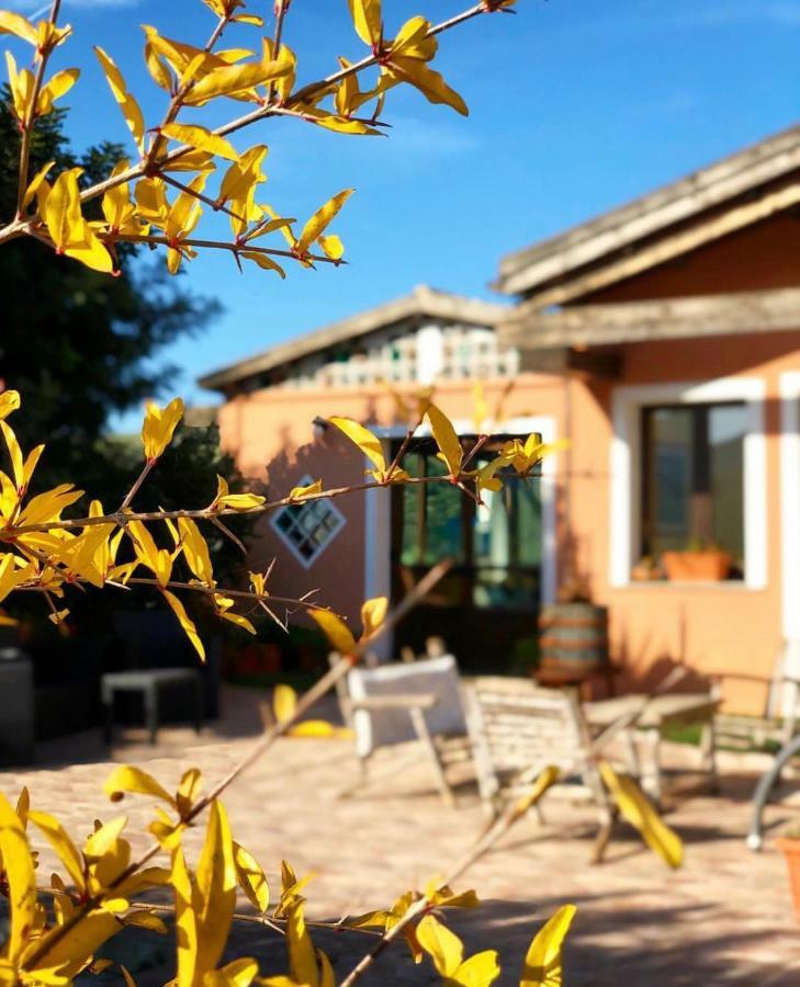 Agriturismo Sa Tanca Noa Tergu ภายนอก รูปภาพ