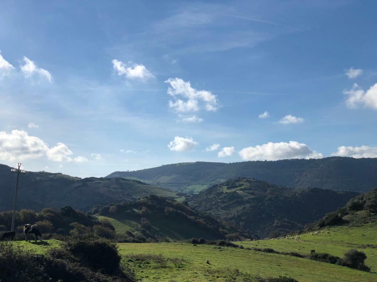 Agriturismo Sa Tanca Noa Tergu ภายนอก รูปภาพ