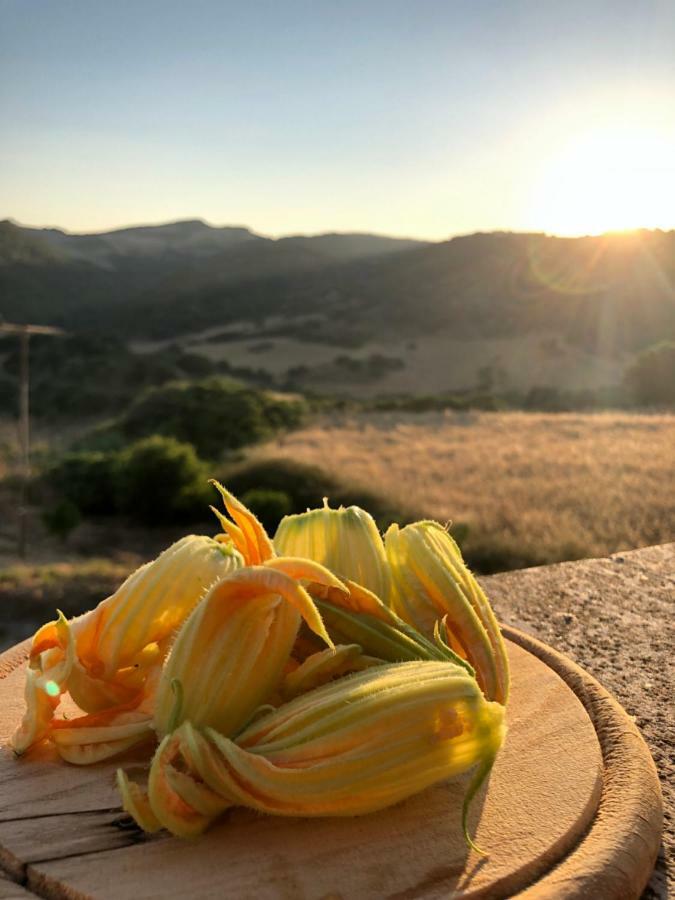 Agriturismo Sa Tanca Noa Tergu ภายนอก รูปภาพ